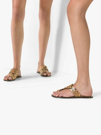 Shop Atp Atelier Rosa Snake Print Thong Sandals In Brown