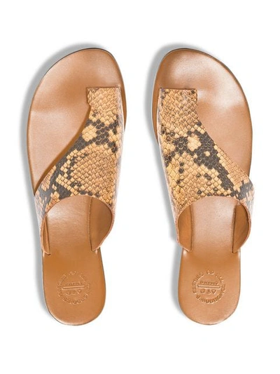 Shop Atp Atelier Rosa Snake Print Thong Sandals In Brown