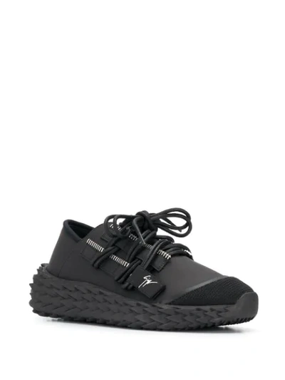 Shop Giuseppe Zanotti Urchin Sneakers In Black