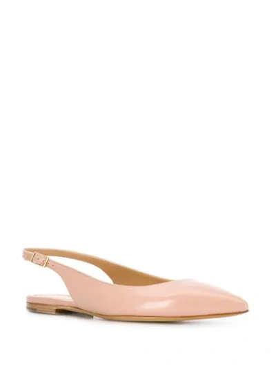 Shop Antonio Barbato Pointed Slingback Shoes In Pink