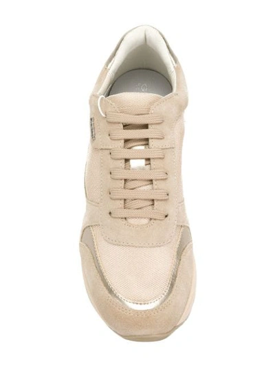 Shop Geox Nebula Sneakers In Neutrals