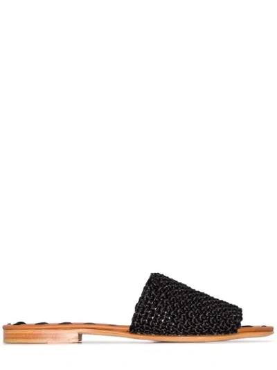 Shop Carrie Forbes Elisa Raffia Flat Sandals In Black