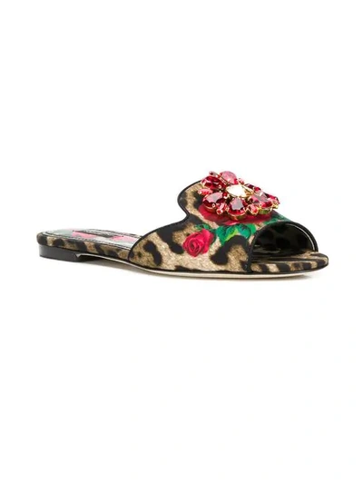 Shop Dolce & Gabbana Embellished Slide Sandals In Brown
