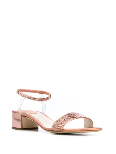 Shop René Caovilla Open Toe Sandals In Pink