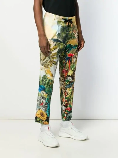 Shop Dolce & Gabbana Nature Print Trousers In Hhih3