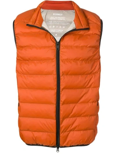 Shop Ecoalf Padded Gilet Jacket In Orange