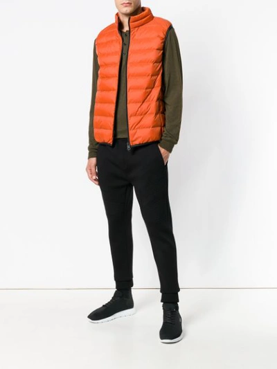 Shop Ecoalf Padded Gilet Jacket In Orange
