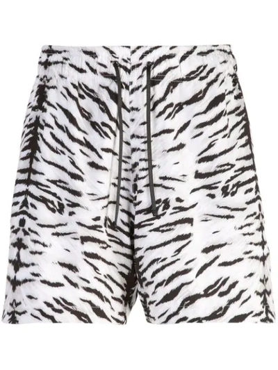 Shop Amiri Tiger Print Shorts In White