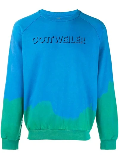 Shop Cottweiler Logo Print Hoodie In Blue