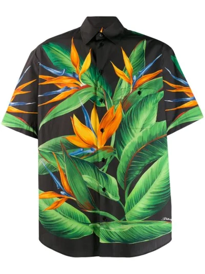 Shop Dolce & Gabbana Bird Of Paradise Shirt In Black