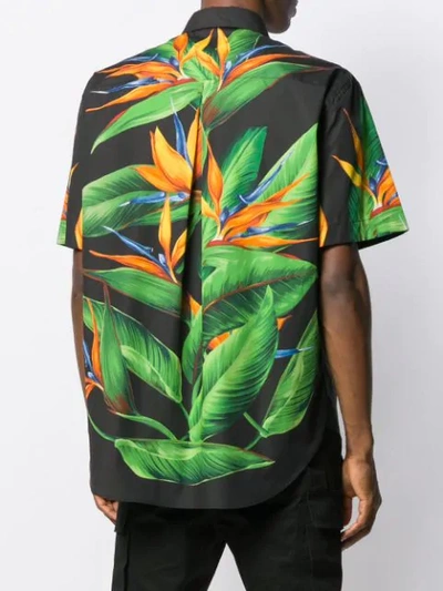 Shop Dolce & Gabbana Bird Of Paradise Shirt In Black