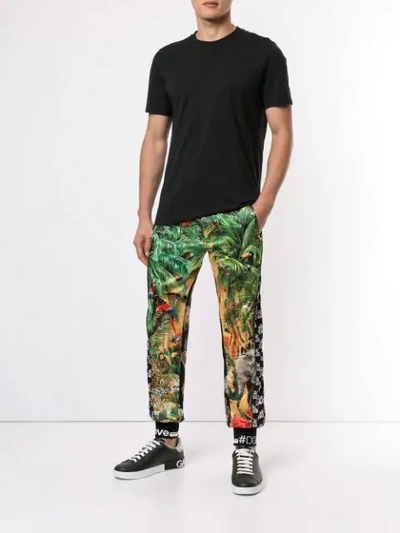 Shop Dolce & Gabbana Tropical Dg King Track Trousers In Green