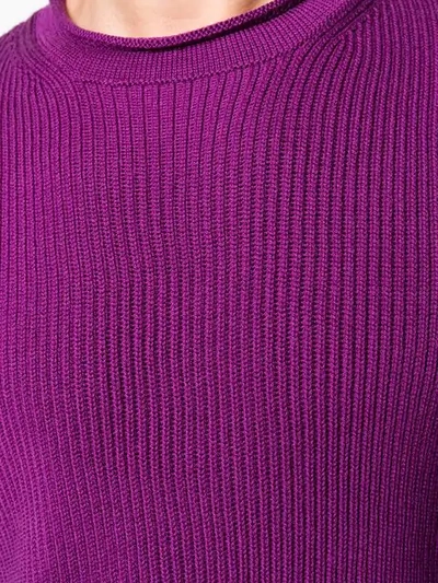 Shop Altea Ribbed Knit Sweater In Pink