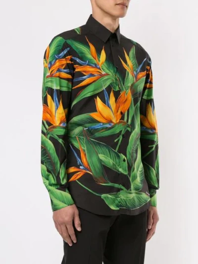 Shop Dolce & Gabbana Bird Of Paradise Print Shirt In Black