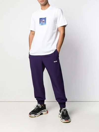 Shop Msgm Classic Track Pants In Purple