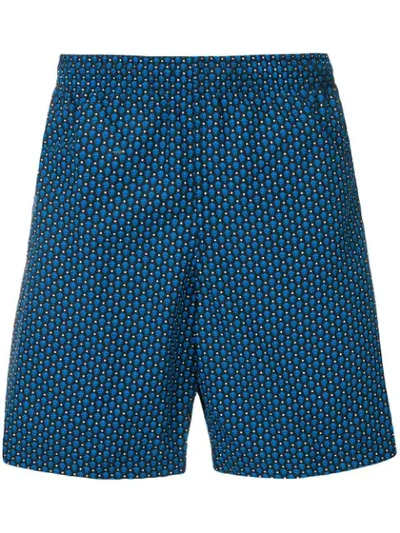 Shop Alexander Mcqueen Skull-print Swim Shorts In Blue