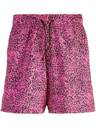 Shop Amiri Leopard Print Shorts In Pink