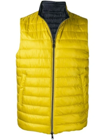 Shop Herno Zipped Padded Gilet In Yellow