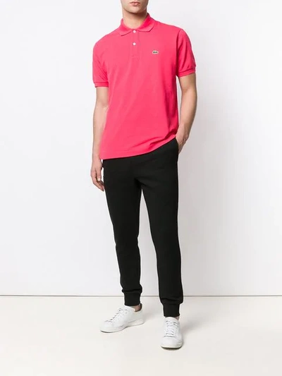 Shop Lacoste Contrast Logo Polo Shirt In Pink