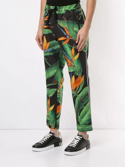 Shop Dolce & Gabbana Bird Of Paradise Print Track Trousers In Black