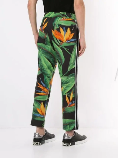 Shop Dolce & Gabbana Bird Of Paradise Print Track Trousers In Black