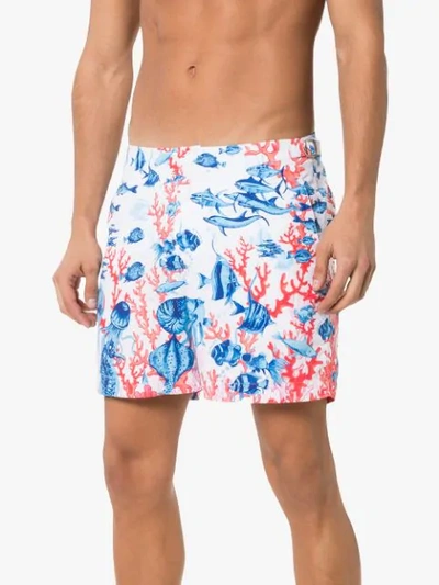 Shop Orlebar Brown Bulldog Fish Print Swim Shorts In White