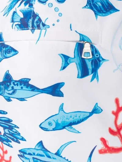 Shop Orlebar Brown Bulldog Fish Print Swim Shorts In White