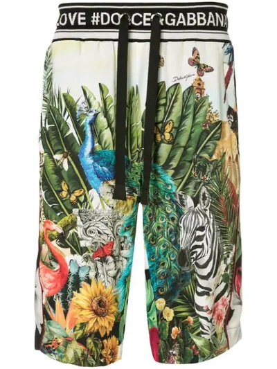 Shop Dolce & Gabbana Bermudas Mit Tropischem Print In Multicolour