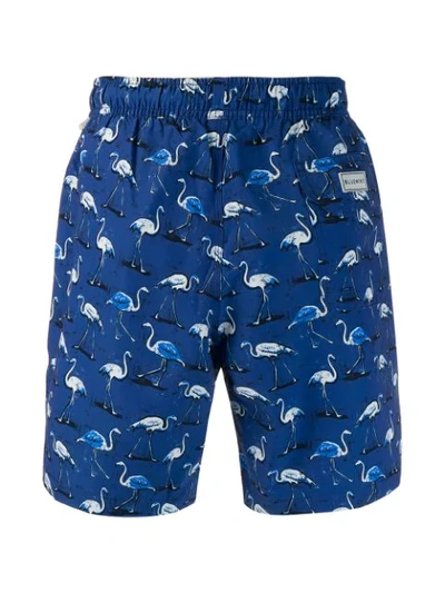 Shop Bluemint Eclipse Flamingo Print Swim Shorts In Blue
