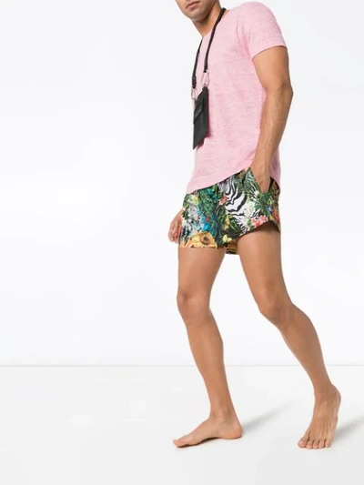 Shop Dolce & Gabbana Giardino Animal Print Swim Shorts In Hhih3 Multi