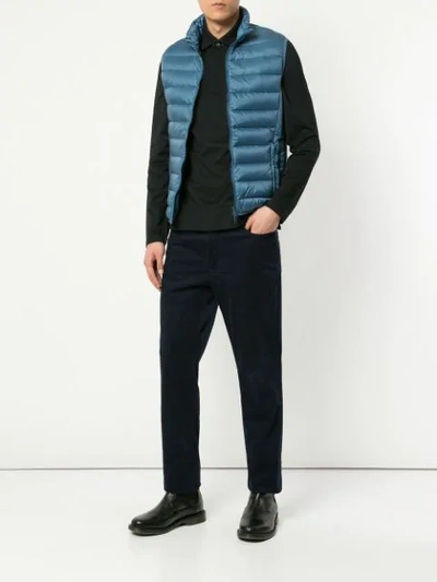 Shop Cerruti 1881 Padded Zipped-up Gilet In Blue