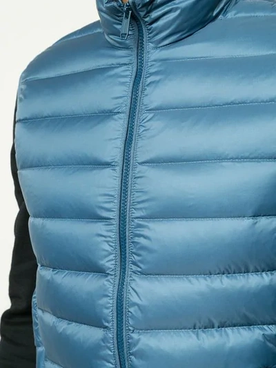 Shop Cerruti 1881 Padded Zipped-up Gilet In Blue