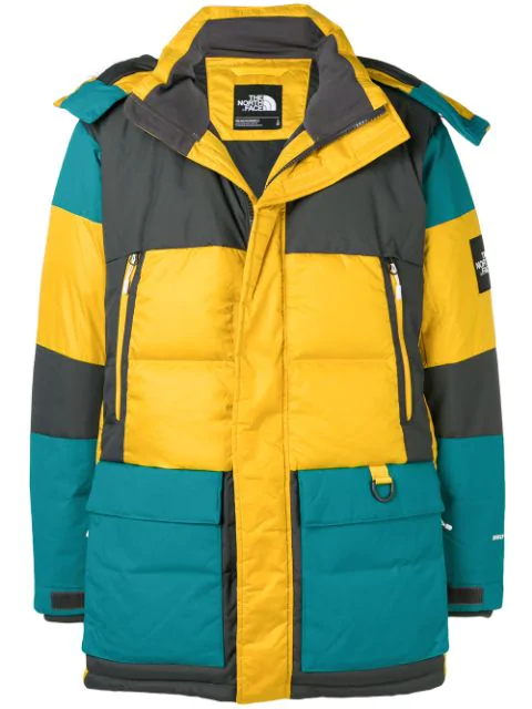 north face feather down jacket