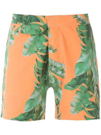 Shop Amir Slama Foliage Print Swim Short In Green