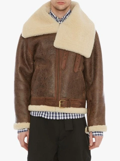 Shop Jw Anderson Shearling Collar Aviator Jacket In Brown