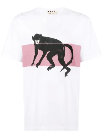 Shop Marni Monkey Print T In White