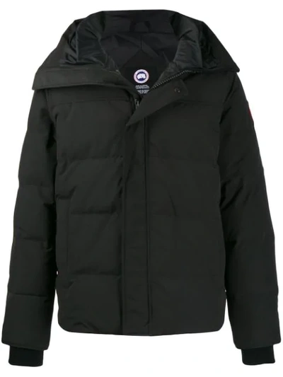 Shop Canada Goose Parka Coat In Black