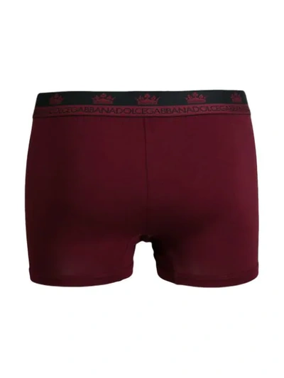 Shop Dolce & Gabbana Shorts Mit Logo-bund In Red