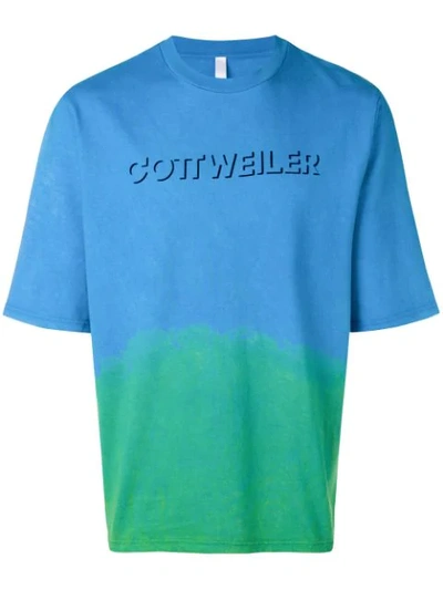 Shop Cottweiler Two Tone Logo Print T In Blue