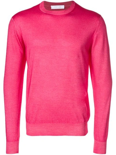 Shop Cruciani Lightweight Sweater In Pink