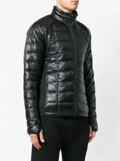 Shop Canada Goose Padded Jacket In Black