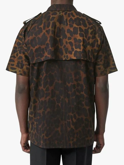 Shop Burberry Short-sleeve Leopard Print Cotton Shirt In Brown