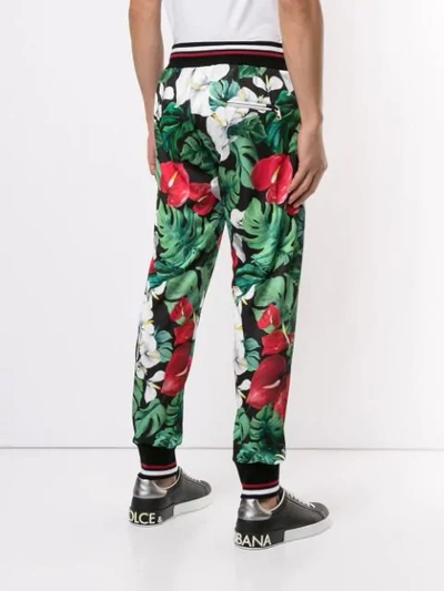 Shop Dolce & Gabbana Anthurium Print Track Pants In Multicolour