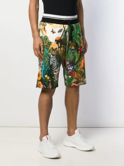 Shop Dolce & Gabbana Jungle-print Track Shorts In Green