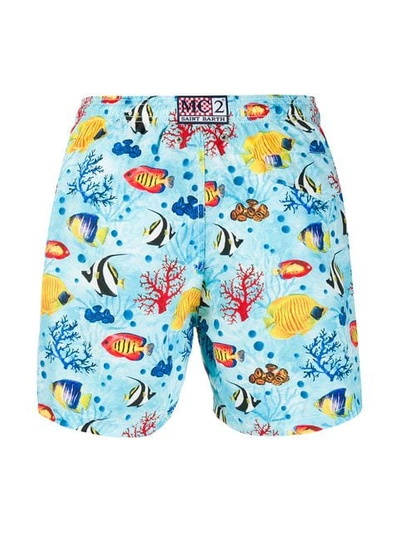 Shop Mc2 Saint Barth Badeshorts Mit Tropenfischen In Blue