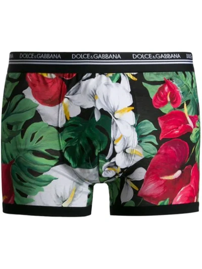 Shop Dolce & Gabbana Printed Boxers In Hngg8 Anthurium Fdo.nero