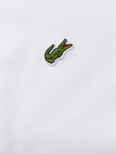 Shop Lacoste Striped Trim Polo Shirt In White