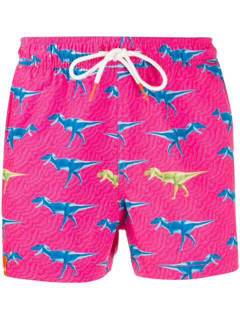 dinosaur swimming shorts