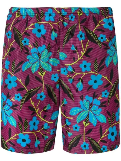 Shop Prada Floral Swim Shorts In Pink