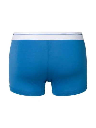 Shop Dolce & Gabbana Underwear Shorts Mit Logo - Blau In Blue